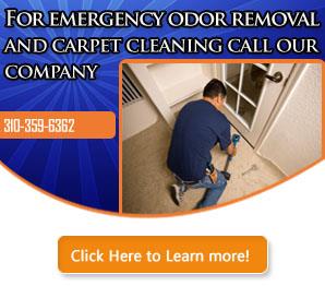 Water Damage Company - Carpet Cleaning Torrance, CA