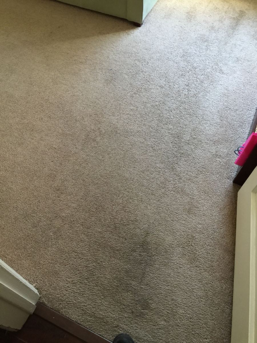 The Frustrating Aspects of Carpet Cleaning